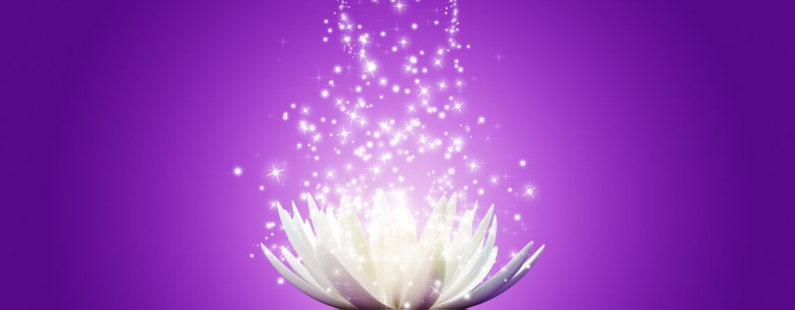 Magic Lotus flower