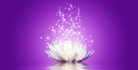 Magic Lotus flower