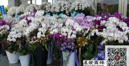 台中花店,台中蘭園,蘭花,花店,蘭園,高架花籃,花束,盆景,會場佈置,商務會場佈置,婚禮佈置,辦公室綠化,水果花籃,台中盆栽出租