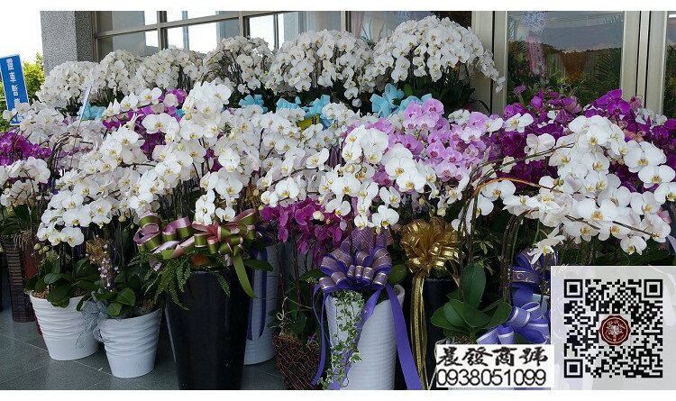 台中花店,台中蘭園,蘭花,花店,蘭園,高架花籃,花束,盆景,會場佈置,商務會場佈置,婚禮佈置,辦公室綠化,水果花籃,台中盆栽出租