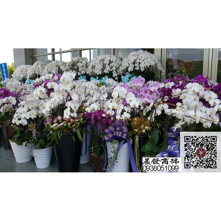 台中花店,台中蘭園,蘭花,花店,蘭園,高架花籃,花束,盆景,會場佈置,商務會場佈置,婚禮佈置,辦公室綠化,水果花籃,台中盆栽出租